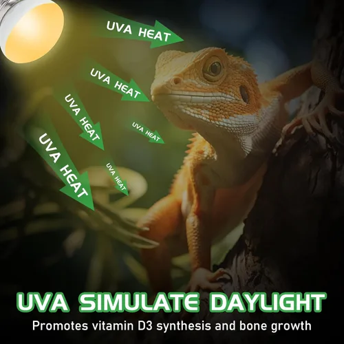 Miniatura 4 de Bombillas de calor para reptiles, paquete de 2 bombillas de calor para reptiles UVA, bombillas de calor de 40 W, luz diurna para lagarto, dragón