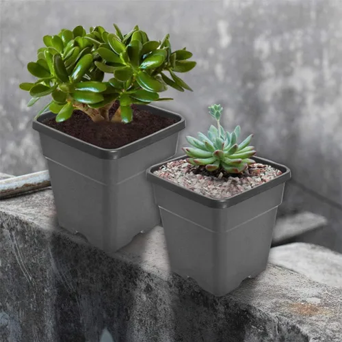 Miniatura 8 de Macetas cuadradas para vivero, macetas de cultivo para plantas de suelo, 0.63 galones, 10