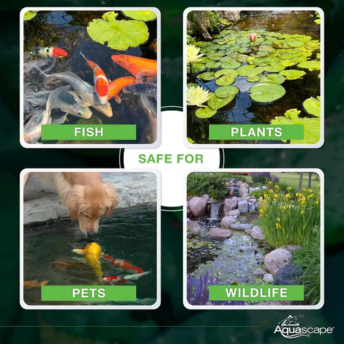 Miniatura 6 de Aquascape - Bacterias secas y beneficiosas para las características del estanque y del agua., Blanco