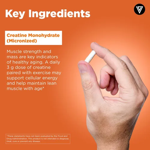 Miniatura 4 de Vital Vitamins Píldoras de monohidrato de creatina para mujeres y hombres - Cápsulas de creatina micronizada - Cognitivo, fuerza y apoyo
