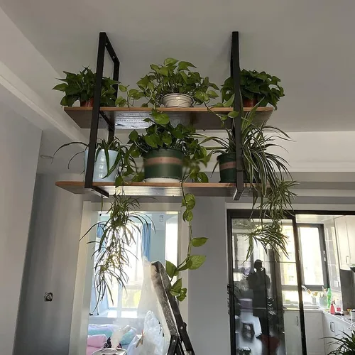 Miniatura 5 de Shelves Whftd Hanging Ceiling Shelf Wine Racks，Industrial Ceiling Mount Shelf，Retro Iron Metal Frame Plant Display Stand, Kitchen Bar Restaurant