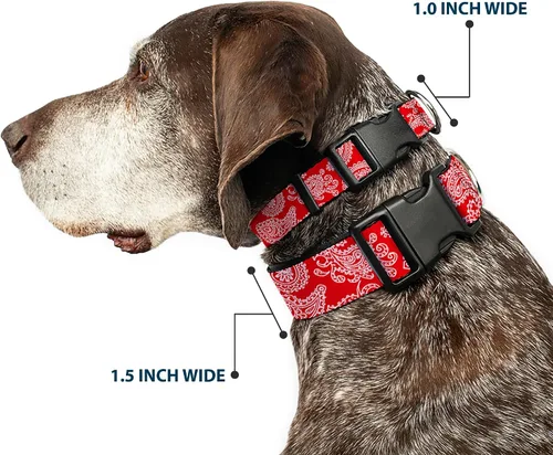 Miniatura 2 de Buckle-Down Collar de clip de plástico rojo y blanco Paisley de 9-15 pulgadas, pequeño