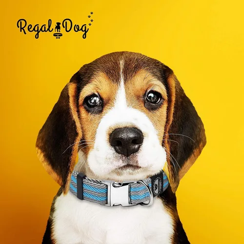 Miniatura 9 de Regal Dog Products Collar mediano para mascotas con hebilla grabada personalizada, collares de sarga duraderos para perros pequeños, collares