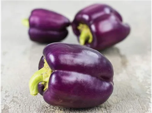 Miniatura 2 de Semillas de pimiento dulce lila morado vegetal gigante para plantar reliquia sin OMG