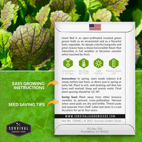 Miniatura 2 de Survival Garden Seeds - Semilla gigante de mostaza roja para plantar - 3 paquetes con instrucciones para plantar y cultivar hojas picantes