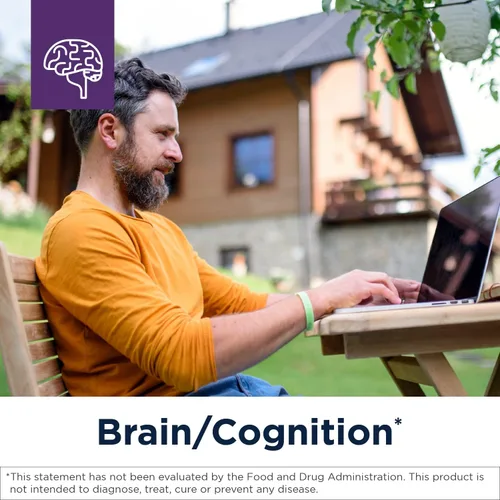 Miniatura 2 de Designs for Health Cápsulas de acetil L-carnitina de 800 mg – Apoyo cerebral energizante – sin OMG, suplemento vegetariano de acetil L-carnitina HCl