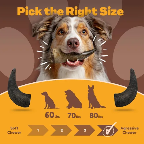 Miniatura 5 de WhiteTail Naturals - Cuernos de búfalo de agua para perros (paquete de 2 grandes) Hueso de perro totalmente natural - Hueso masticable de larga