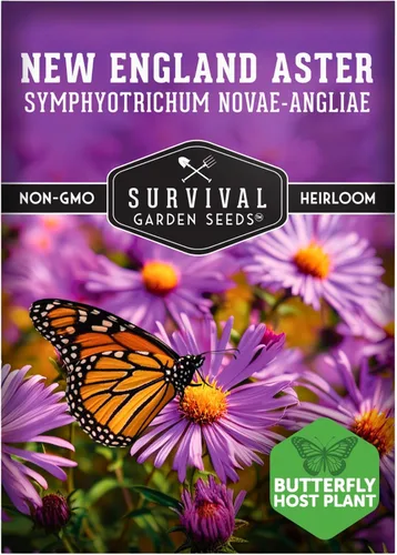 Semillas de Jardín de Supervivencia - Semillas de Áster de Nueva Inglaterra para Plantar | Flor Silvestre Perenne Púrpura Nativa | Imán de Mariposas