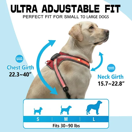 Miniatura 2 de Arnés reflectante con correa para perro con iluminación LED, chaleco de seguridad iluminado para perro