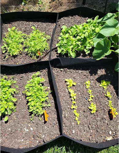 Miniatura 7 de CJGQ Bolsa de cultivo de jardín de tela elevada de 4x2x1 pies para cultivar hierbas, flores y verduras de 55 galones