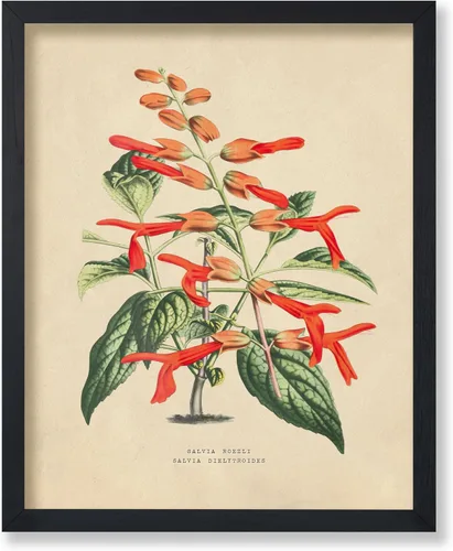 Miniatura 52 de Poster Master Póster Vintage de Plantas Cultivadas - Impresión Botánica Retro - Arte de Flores - Arte de Plantas - Regalo para Hombres y Mujeres