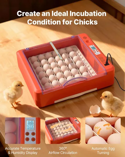 Miniatura 2 de VEVOR Incubadora de 36 huevos, incubadora automática con volteador de huevos y candelero LED y bandeja de agua, control de temperatura y humedad