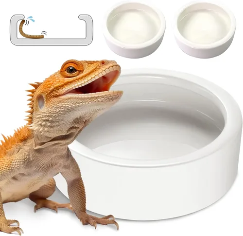 Plato de gusanos – Cuenco grande de 2 piezas para comida y agua para reptiles para lagarto, gecko, camaleón, cangrejo ermitaño, dragón barbudo y más