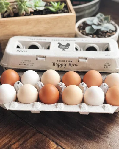 Miniatura 2 de Cartones de huevos impresos vintage, paquete de 90 cajas de cartón Henlay - Sostiene de forma segura una docena de huevos de pollo pequeños a XL