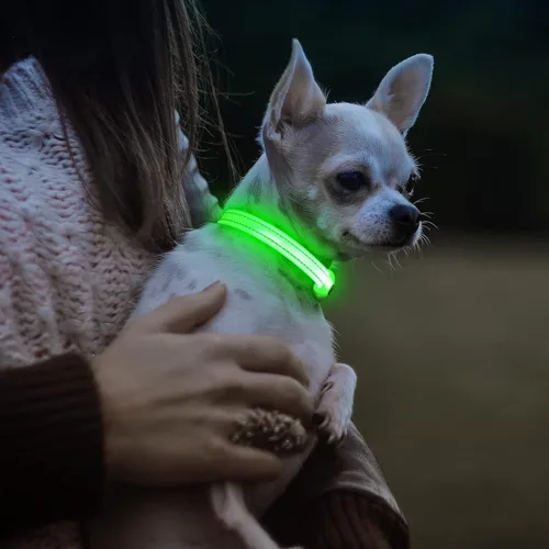 Miniatura 6 de Collares de perro con luz Visinite para perros pequeños, collar de perro LED recargable, collar de perro iluminado totalmente ajustable, collares
