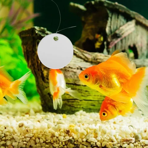 Miniatura 5 de Espejo flotante de pecera Betta con espejo acrílico y cuerda para ejercicio Betta y decoración de acuario pequeño, 1.57 x 1.57 x 0.19 pulgadas