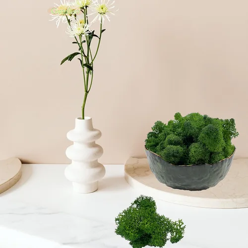 Miniatura 4 de Musgo artificial preservado de 1.1 libras para plantas en maceta, musgo verde fresco natural para manualidades, musgo artificial, orquídea floral