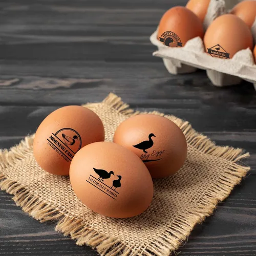 Miniatura 6 de Sellos de huevos para huevos frescos, sello de huevo personalizado y etiqueta de huevo de pato para creaciones de granja y cocina con múltiples