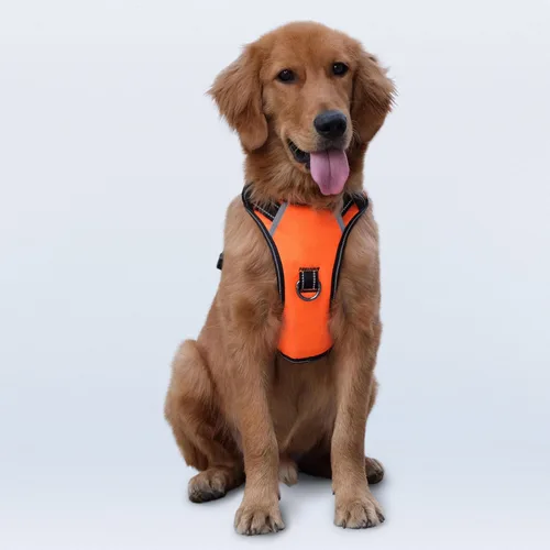 Miniatura 17 de Arnés antitirones para perro pequeño con 2 hebillas de liberación rápida y mango de fácil control, chaleco suave reflectante sin estrangulamiento