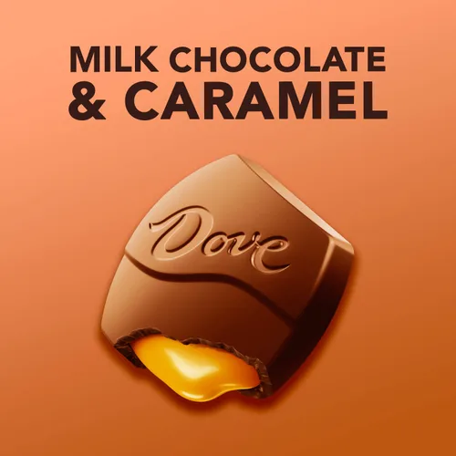 Miniatura 4 de DOVE Large PROMISES - Caramelo de chocolate con leche, 2.75 onzas (paquete de 20)