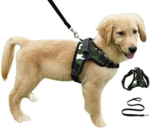 Miniatura 10 de Juego de arnés de seguridad con correa para perro resistente y ajustable al cuello, correa acolchada que no ocupa que la jales, transpirable