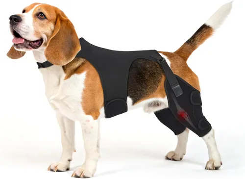 Miniatura 11 de Rodillera para perro para pierna trasera de ACL desgarrada, soporte de pierna de perro con estabilizadores de metal para desgarro CCL, limpado