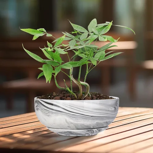 Miniatura 8 de G EPGardening Macetas Bonsai, Maceta de Cerámica de 8 Pulgadas con Patrón de Mármol y Orificio de Drenaje y Platillo para Plantas, Maceta Grande