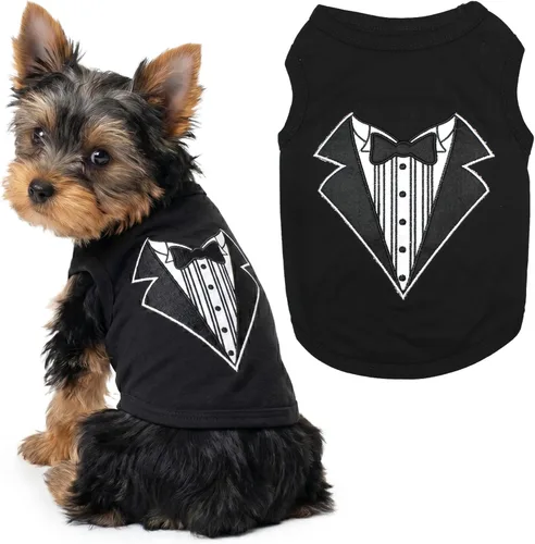 Miniatura 39 de Parisian Pet - Camiseta bordada para perros y gatos, con texto en inglés Sexy and I Know It, XS Sexy y lo sé