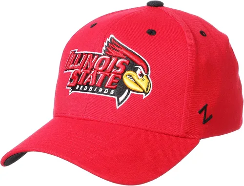Miniatura 17 de ZHATS - Sombrero ajustado elástico para hombre de la NCAA, color del