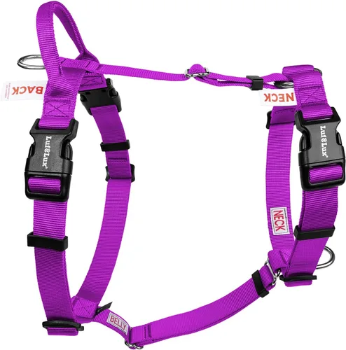 Miniatura 11 de Arnés para perro no restrictivo, fácil libertad de caminar, arnés sin tirones, mantiene el equilibrio, hebilla de cuello, ajuste de seis puntos, 2