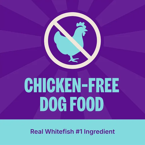 Miniatura 9 de Wellness Complete Health - Alimento seco para perros con granos, ingredientes naturales, fabricado en Estados Unidos con carne real, todas