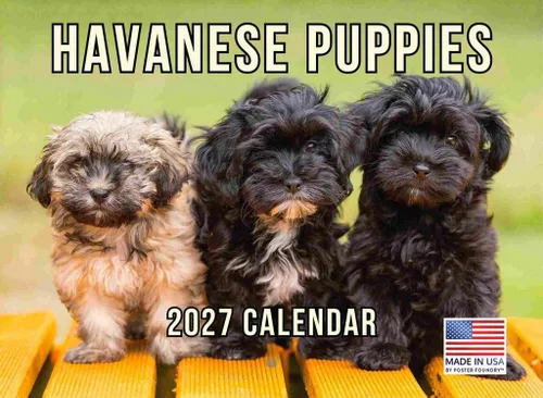 Miniatura 83 de Calendario de pared mensual 2025 Great Dane de 12 meses, fabricado en Estados Unidos