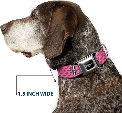 Miniatura 7 de Collar para perro FM - Mustang w/Barras w/Texto (W30628) - Ancho Pequeño