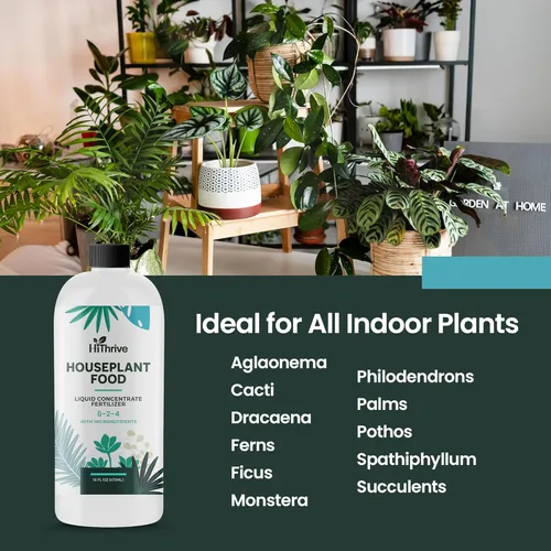 Miniatura 5 de Fertilizante para plantas de interior de 16 onzas, alimento multiusos para plantas de interior, hace más de 87 galones, alimento vegetal
