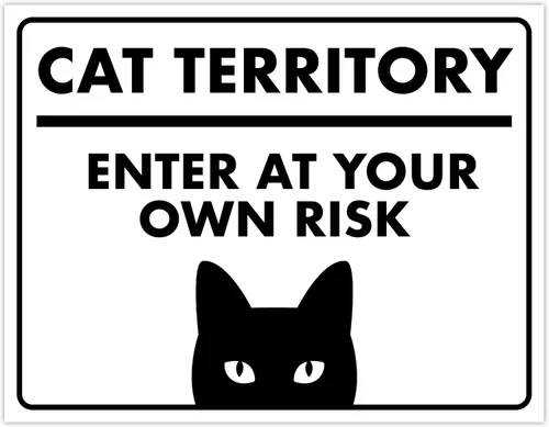 Miniatura 62 de Señal de Gato de 24 Horas de Vigilancia Felina de Premises Under 24 Hour - Cartel de gato divertido, metal, 8 x 12 pulgadas, letreros de gato