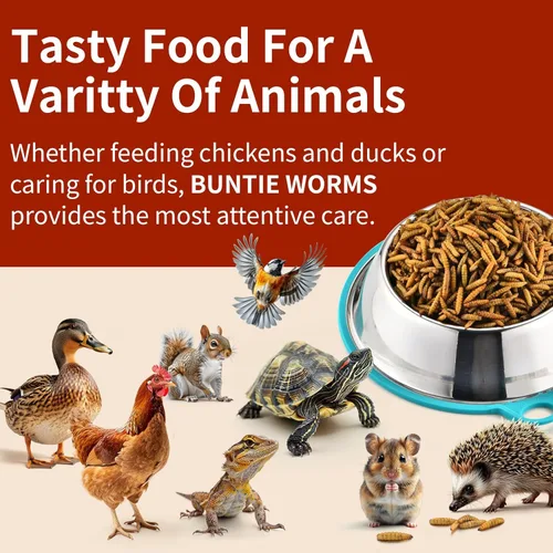 Miniatura 6 de BUNTIE WORMS Gusanos secos de mosca del soldado negro 5LB, alimento para pollos alto en proteínas, 100% natural sin transgénicos – Tratamiento