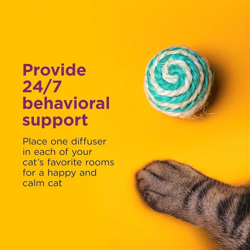 Miniatura 6 de Comfort Zone Recambio de difusor calmante para gatos, 1 paquete – Los recambios de feromonas calmantes para gatos ayudan a reducir la ansiedad