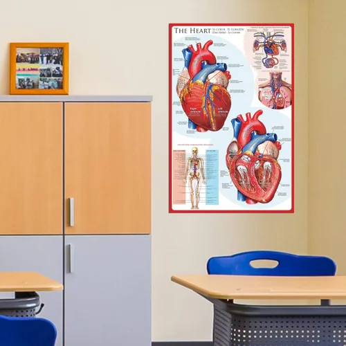 Miniatura 3 de EuroGraphics Póster The Heart, 36 x 24 in