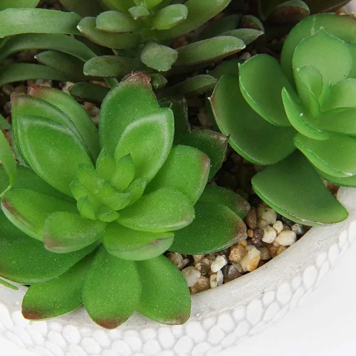 Miniatura 5 de Briful Pequeñas plantas falsas surtidas suculentas falsas en macetas, plantas suculentas realistas artificiales con macetas de cemento