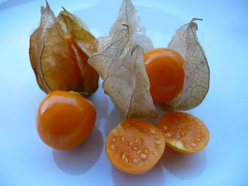 Miniatura 6 de Semillas Linterna China Señora Madonna Physalis Cabo Grosella Espinosa Naranja No GMO Heirloom