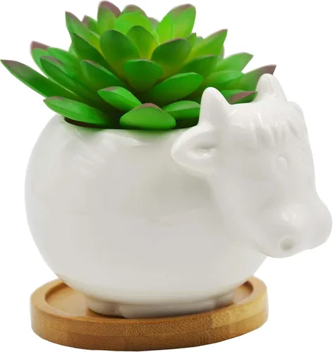 Miniatura 5 de Cuteforyou Macetas para suculentas, bonita maceta de cerámica con forma de vaca de dibujos animados para suculentas/cactus/flores, soportes
