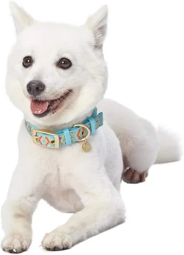 Miniatura 4 de Blueberry Pet - Collar ajustable para perro con estampado tribal sudoccidental en azul celeste, con hebilla de metal, para cuello de 13-16.5