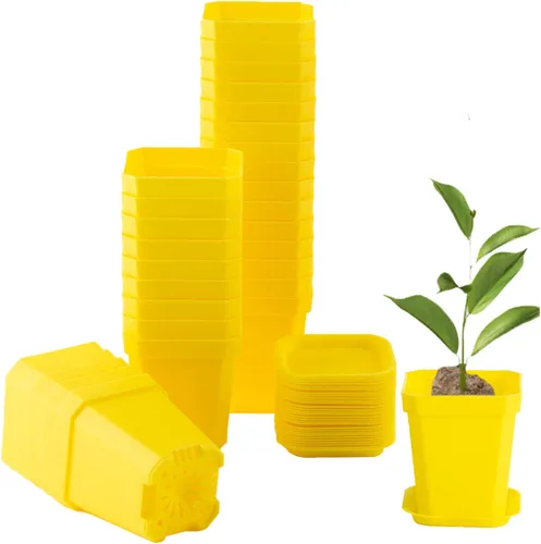 Miniatura 8 de Macetas de vivero transparentes verdes de 3 pulgadas de Foxany, 30 piezas de maceta de plástico grueso, paquete variado de macetas cuadradas
