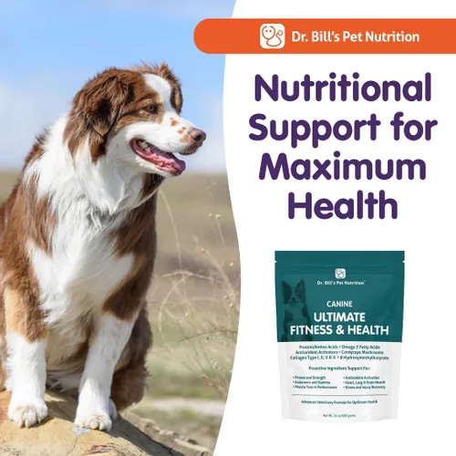 Miniatura 8 de Dr. Bill's Canine Ultimate Fitness & Health - Multivitamínico diario para perros para energía, longevidad y apoyo de todo el cuerpo - Suplemento