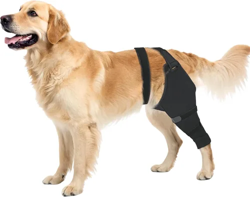 Funda para perro para patas traseras para dejar de lamer, manga de recuperación quirúrgica mejorada para heridas de piernas traseras y traseras,