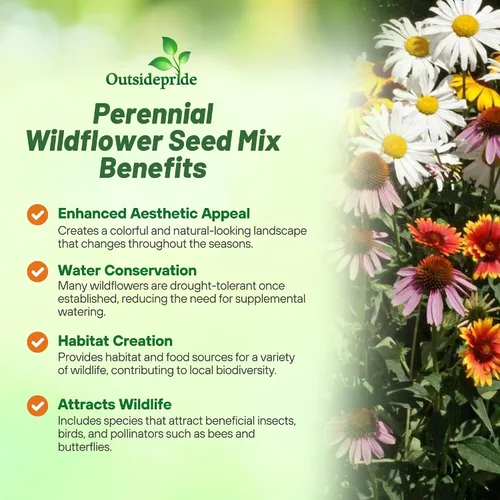 Miniatura 3 de Outsidepride Mezcla de semillas de flores silvestres perennes de 1 libra para todos los estados