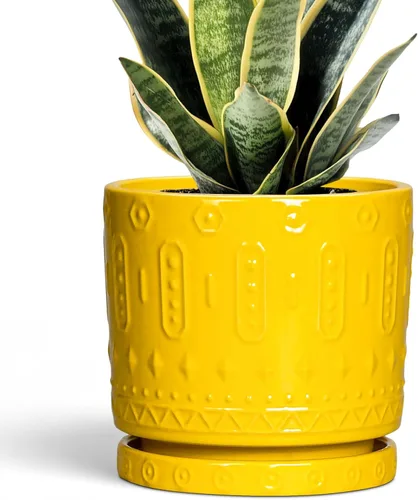 Miniatura 42 de Maceta de Cerámica Eightpot - Maceta de 20 cm para Interior con Agujeros de Drenaje y Platillo, Maceta Redonda para Exterior, Maceta Moderna de Azul