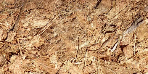 Miniatura 5 de FibreDust Mantillo de fibra de coco de 17 libras, paquete de 4.4 lbs de 2 – 100% cáscara de coco natural, piezas trituradas y cortadas, gran