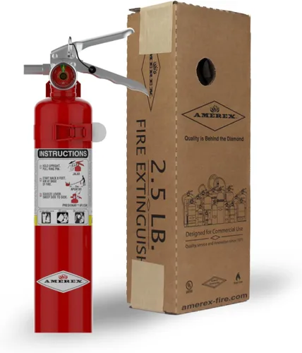 Miniatura 2 de Amerex ABC, extintor químico seco - B417T - 2.5 libras
