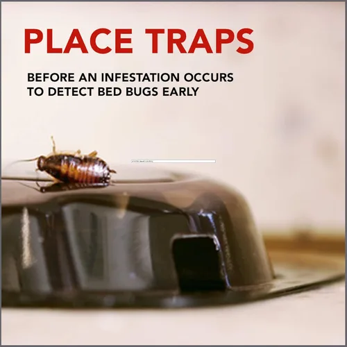 Miniatura 4 de Raid Detector y trampa de chinches de cama, para uso en interiores, 4